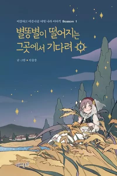 Wait Where the Shooting Star Falls