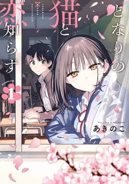 Learning to Love My Cat-like Classmate