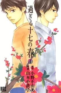 Sugiru Juunana no Haru