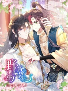 Ye Hu Li Yu Gao Ling Hua Shei Hui Xian Diao Ma?